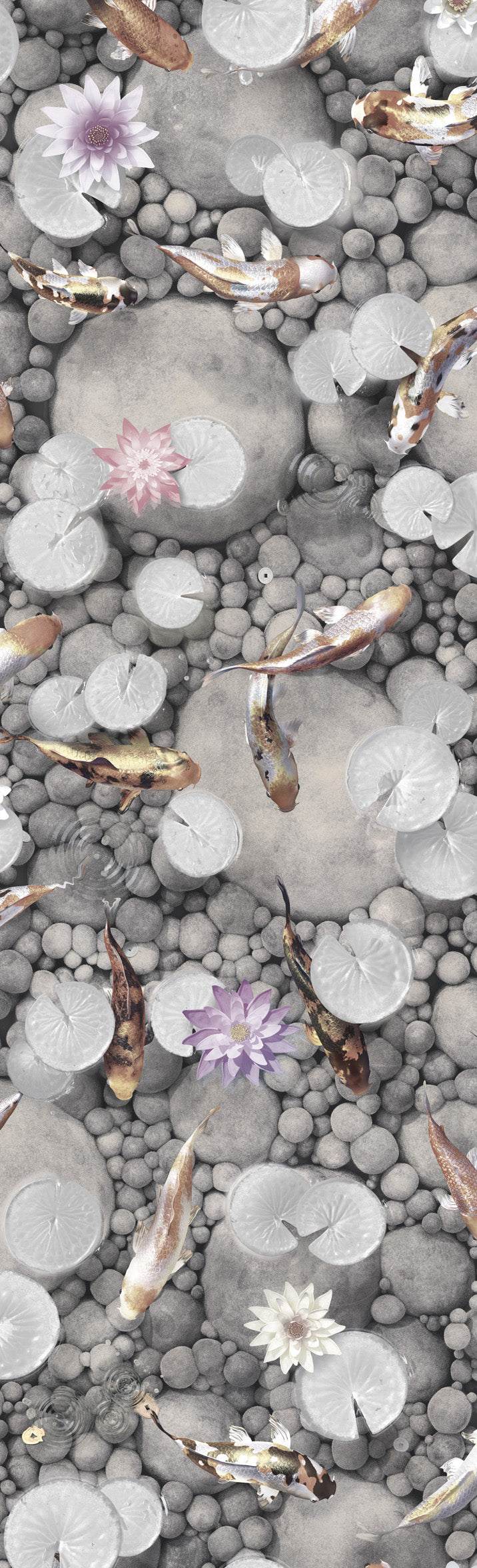 Koi Carp Fish Wallpaper : Make a Wish : Silver