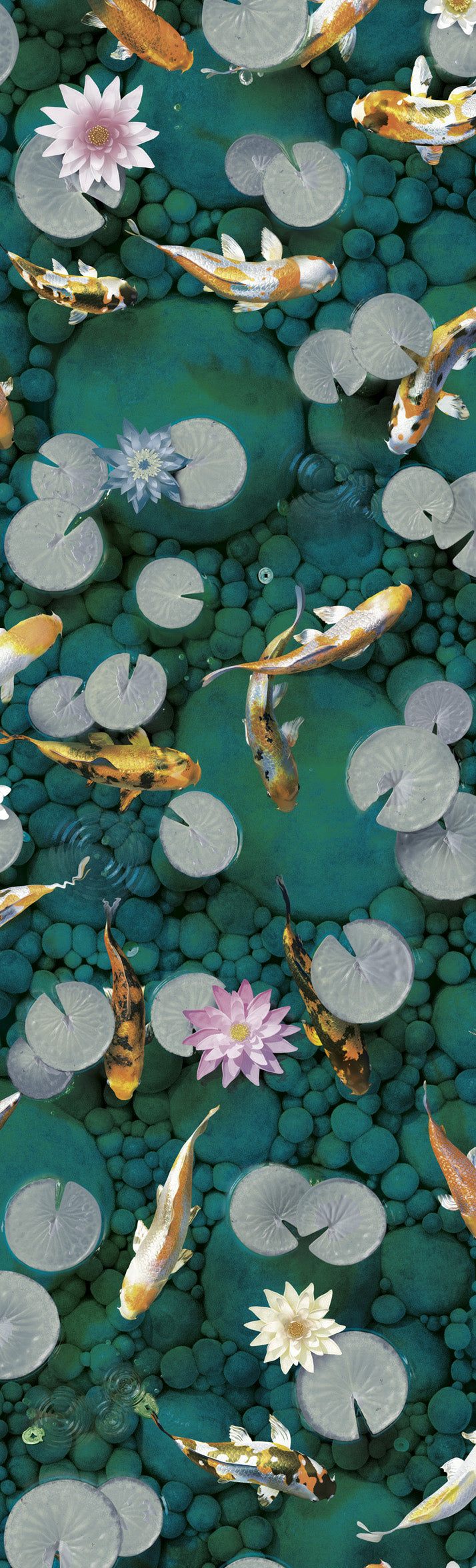 Koi Carp Fish Wallpaper : Make a Wish : Emerald
