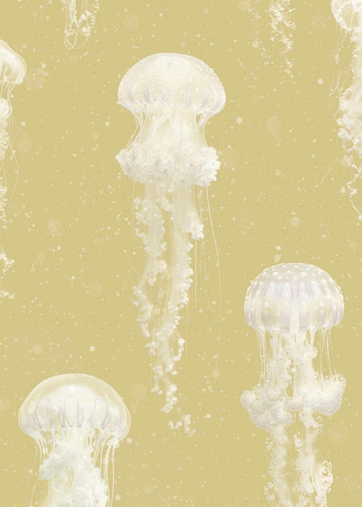 Luxury Jellyfish Wallpaper : Kurage