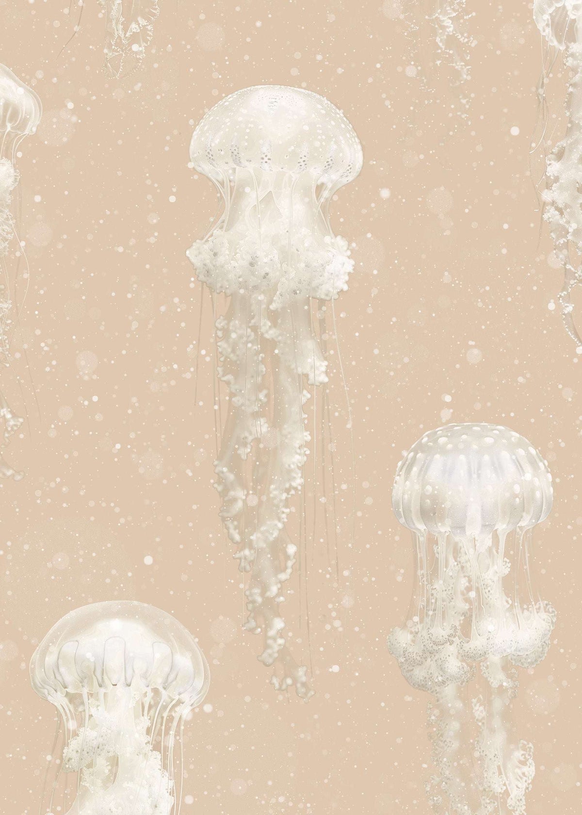Luxury Jellyfish Wallpaper : Kurage