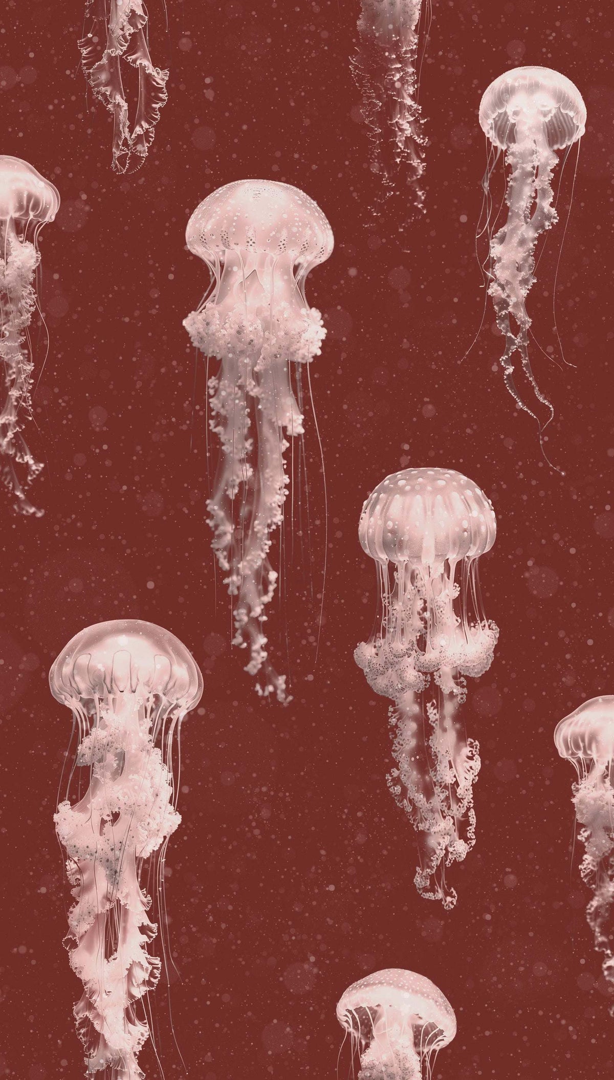 Luxury Jellyfish Wallpaper : Kurage