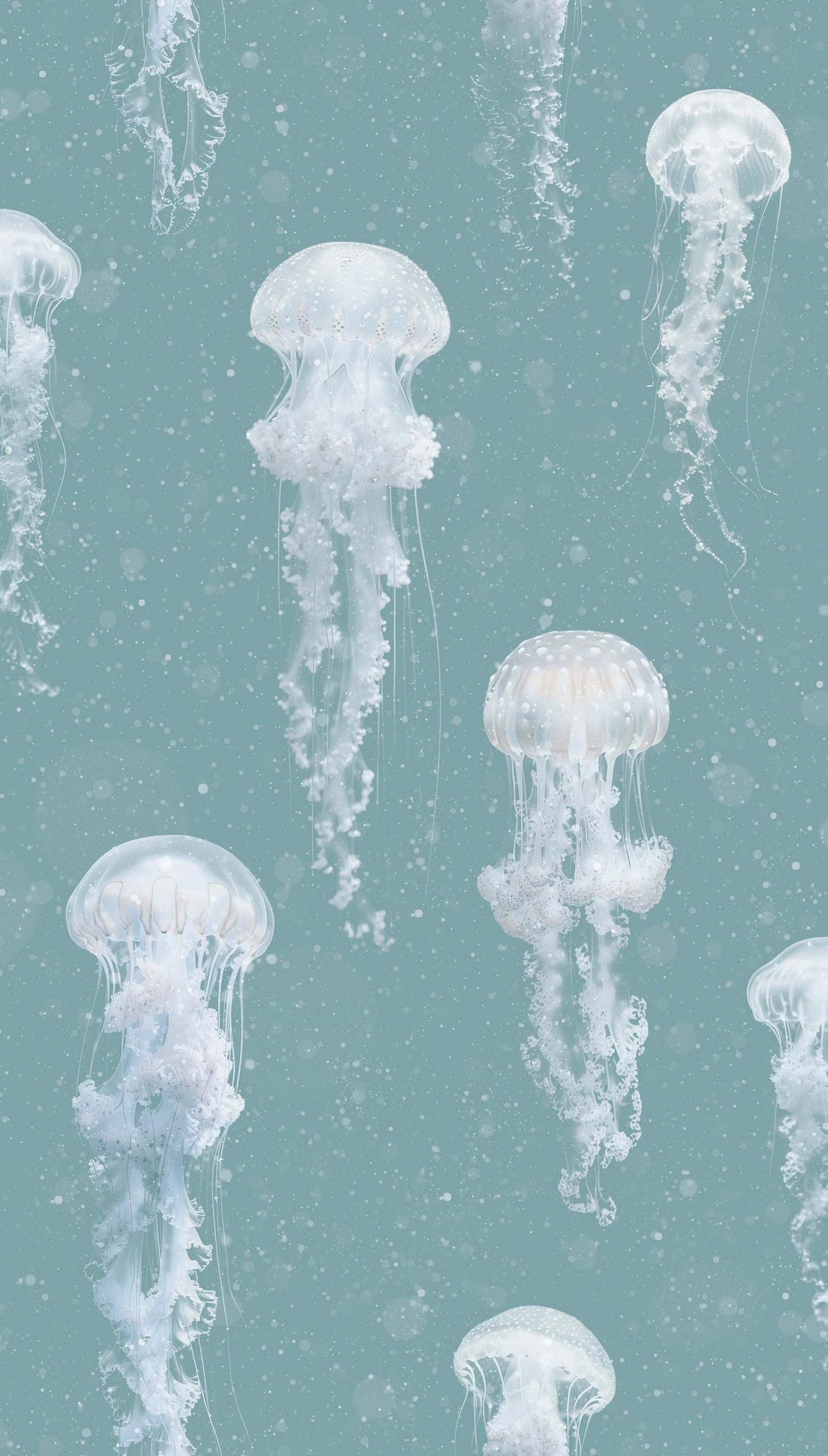 Luxury Jellyfish Wallpaper : Kurage