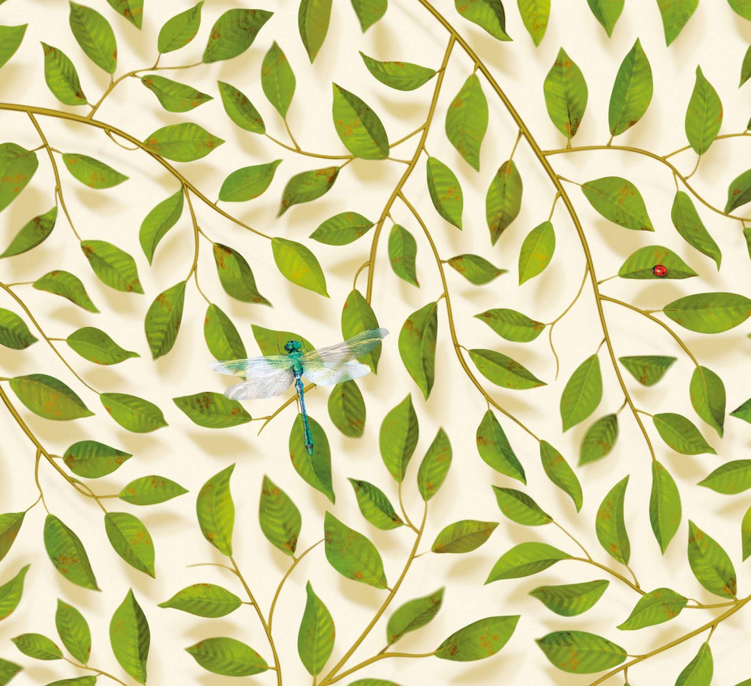 A Thousand Leaves : Light
