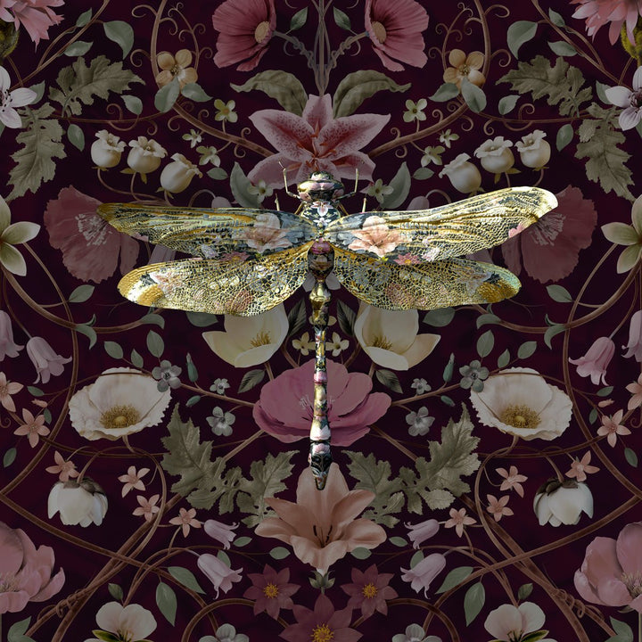 Anisoptera Botanicus in Cranberry