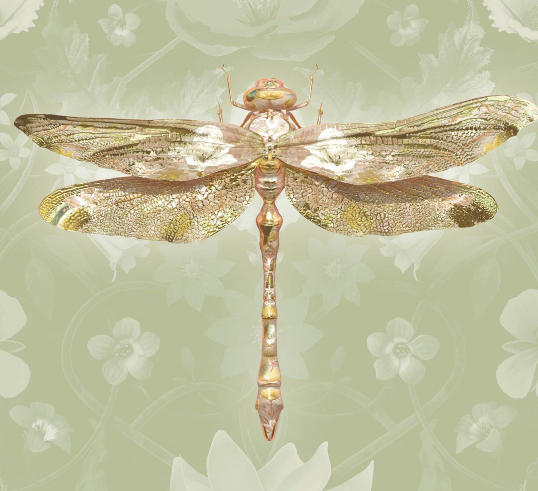 Insects Jour - Anisoptera Bubblegum Botanicus in Celadon