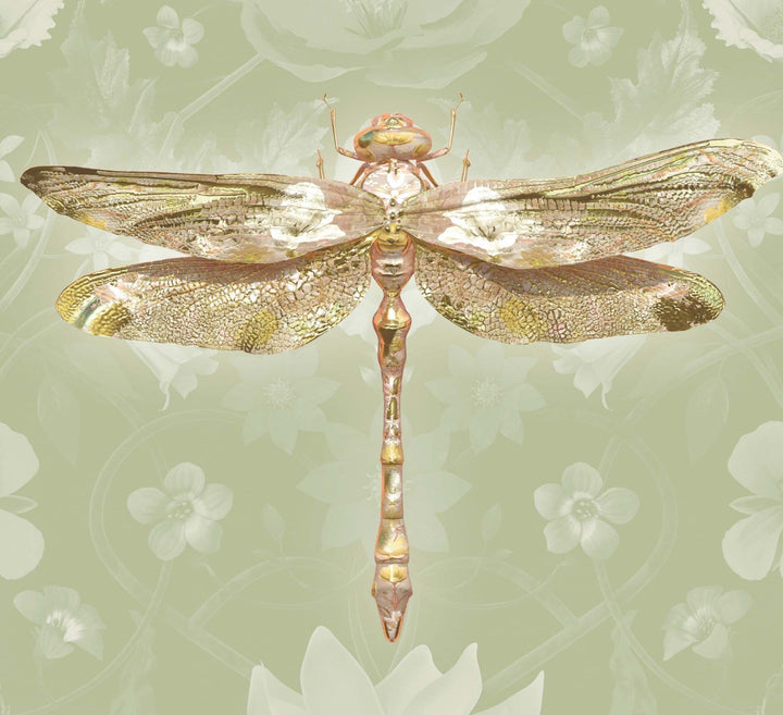 Insects Jour - Anisoptera Bubblegum Botanicus in Celadon