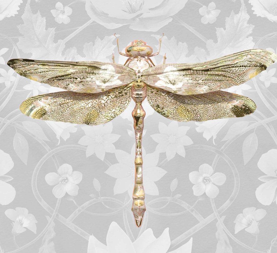 Insects Jour - Anisoptera Bubblegum Botanicus in Grey