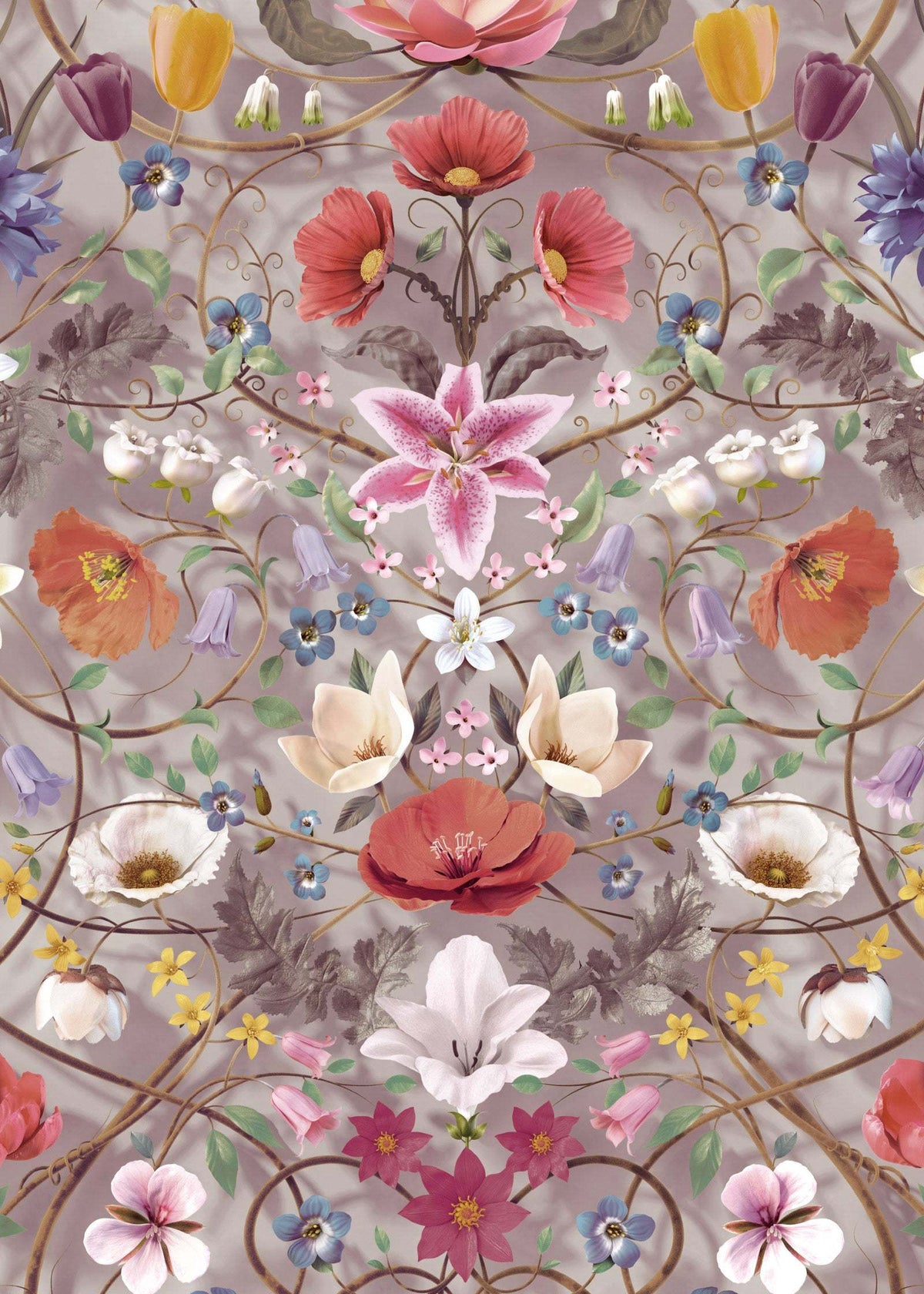 Flora Botanica : Dusk