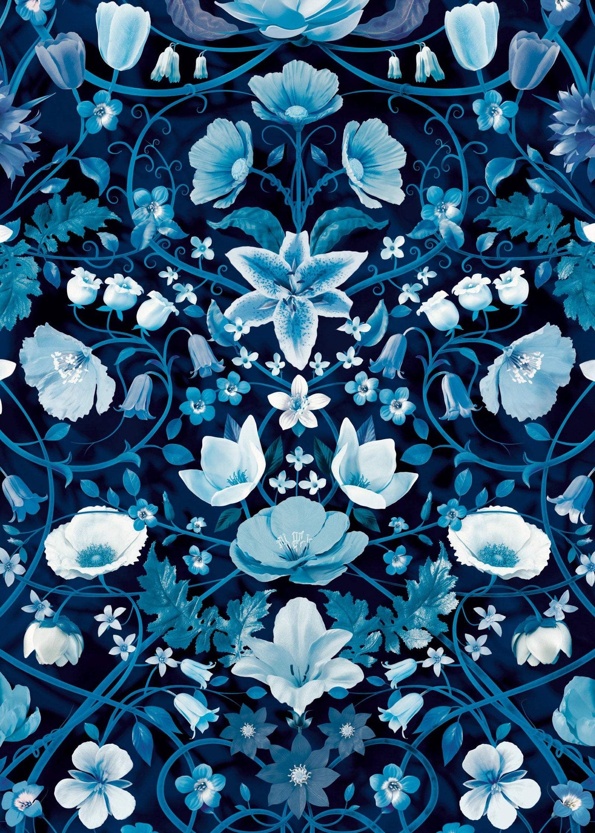 Flora Botanica : Dusk