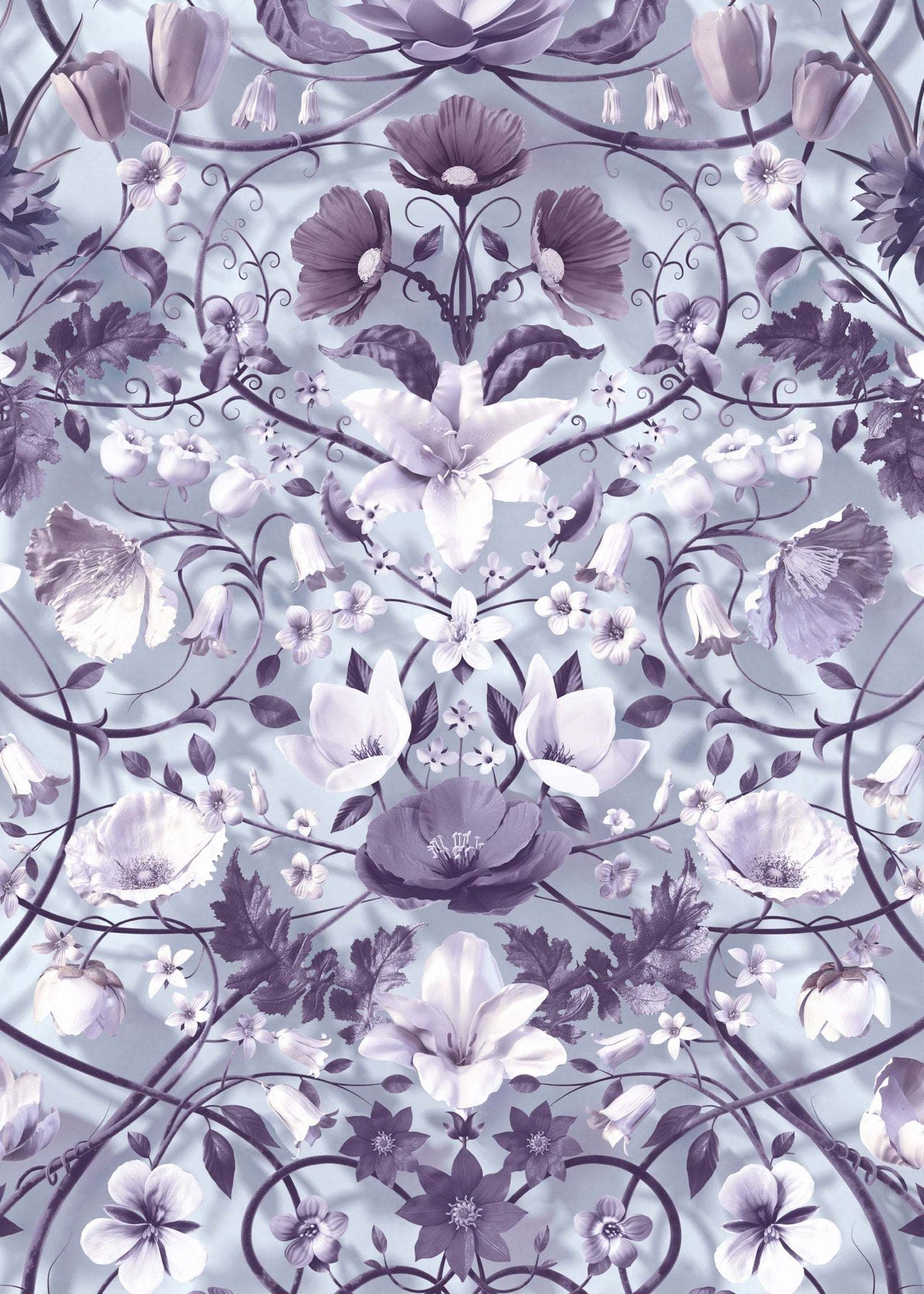 Flora Botanica : Dusk