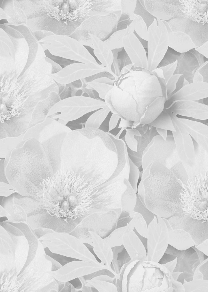 Peony
