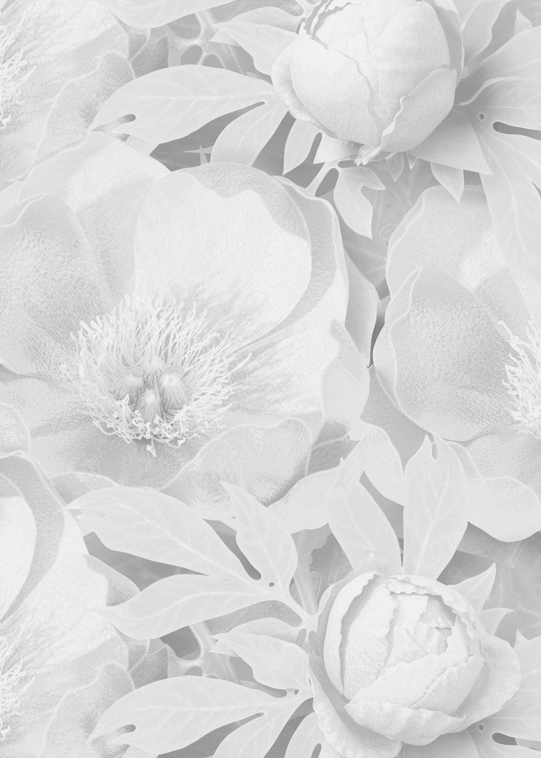 Supersized peony wallpaper with detailed floral design in soft shades, elegant and bold, non-woven material Peony - SUPERSIZED