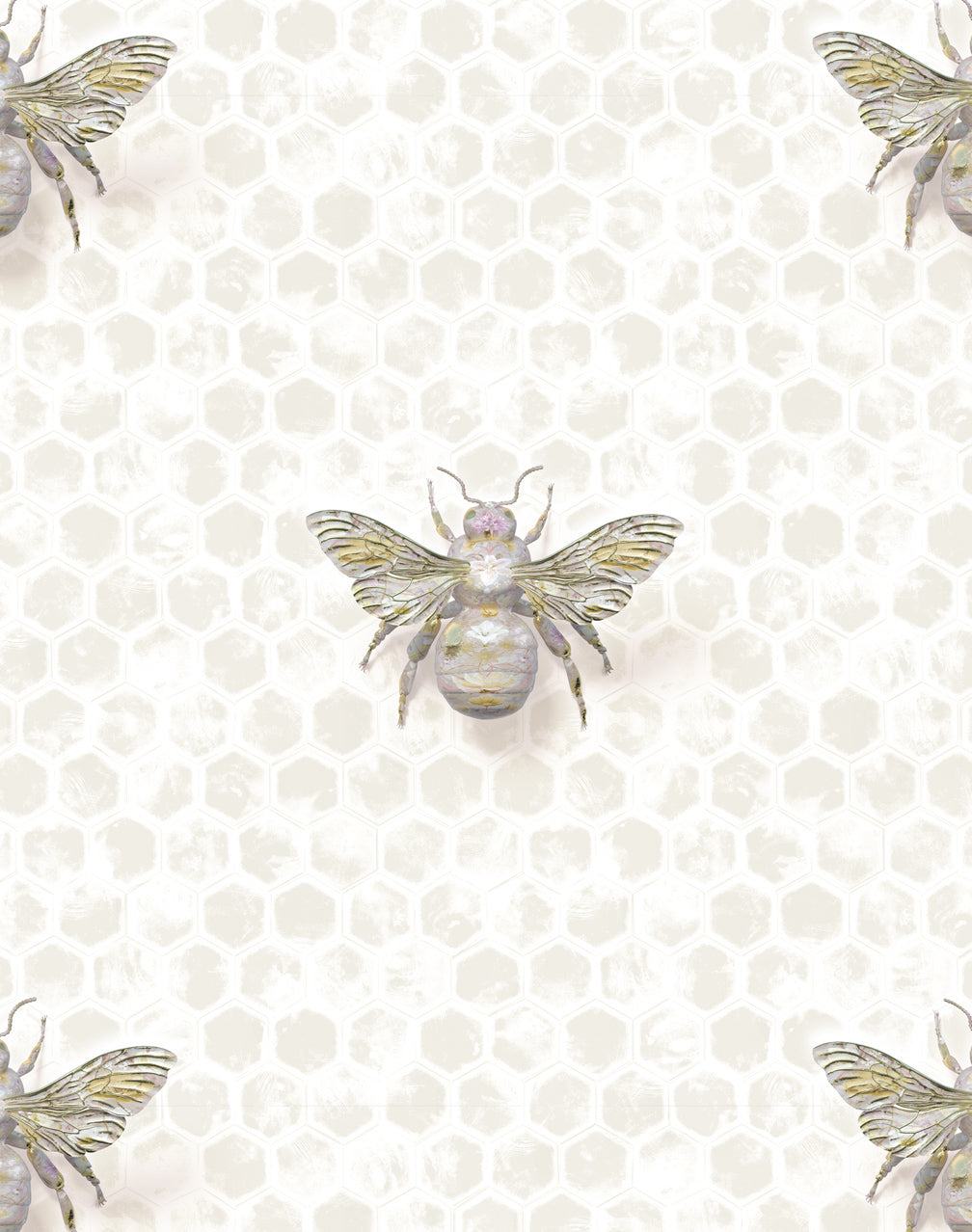 Large Bee Wallpapers - Insects Noir - Bombus Botanicus