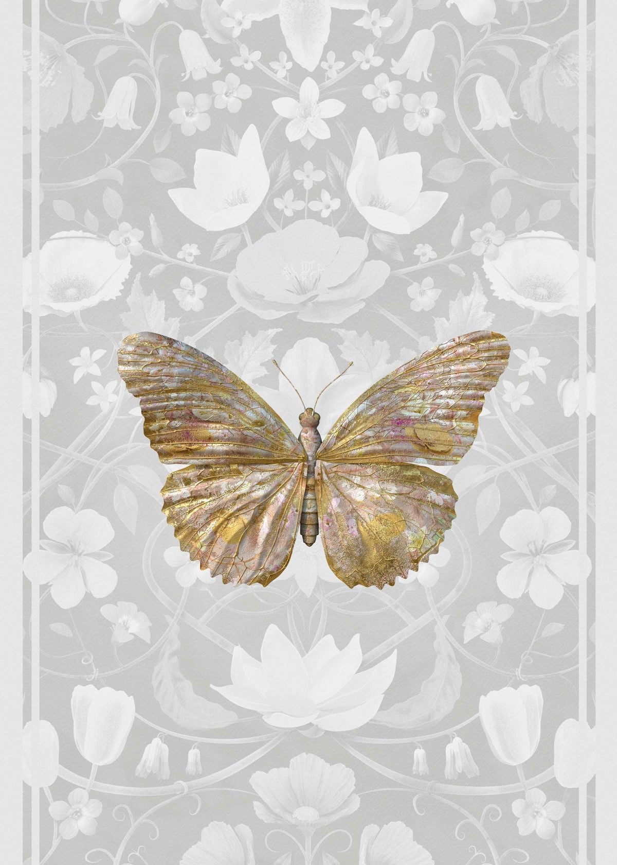Butterfly Wallpapers - Insects Noir - Papilio Botanicus