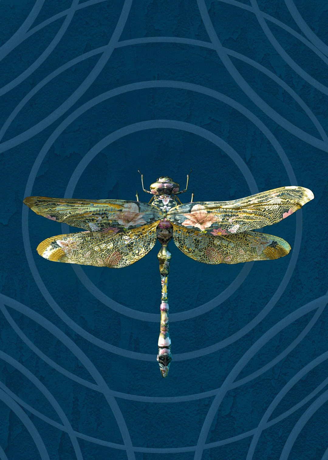 Dragonfly wallpaper