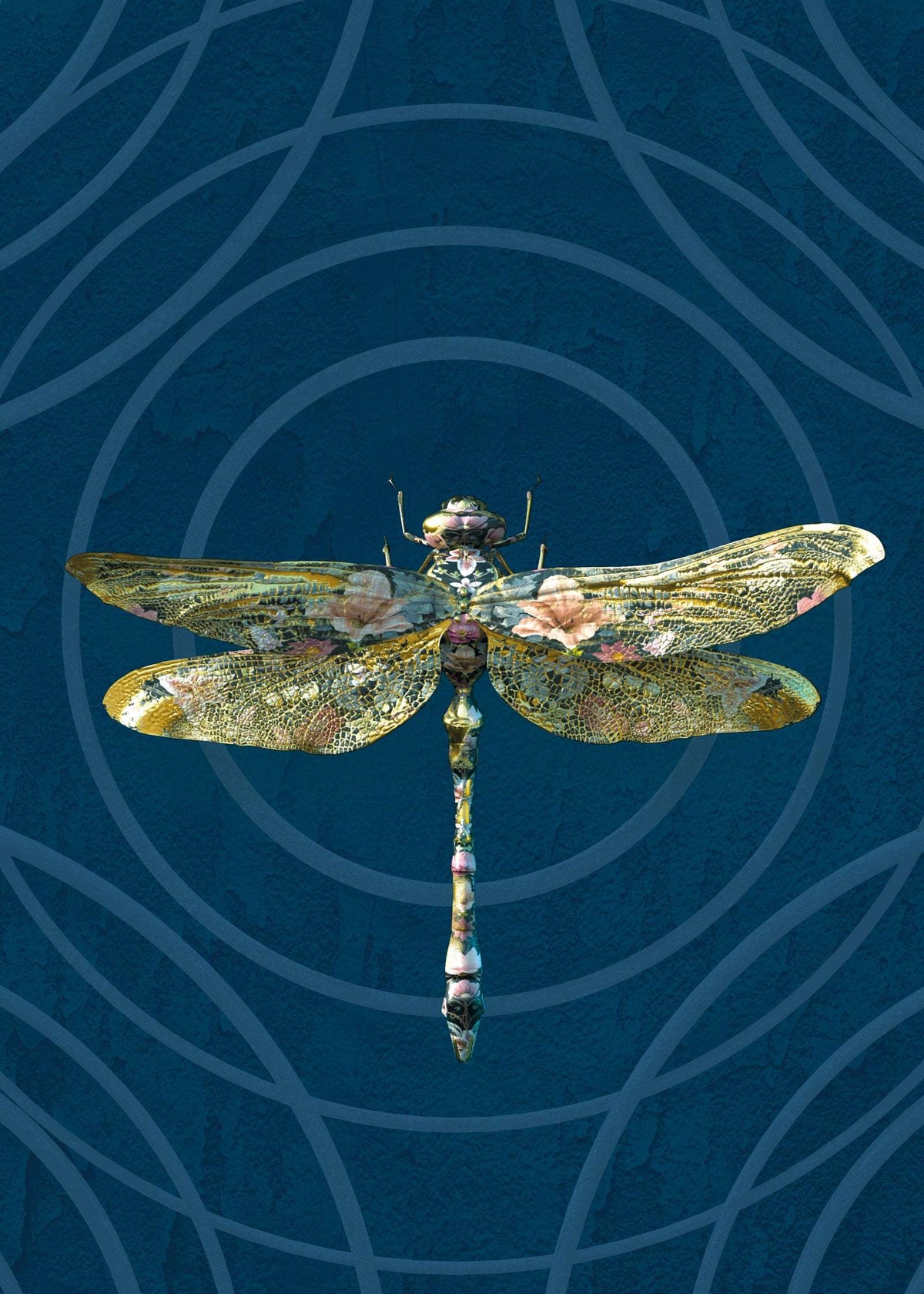 Insects Noir - Anisoptera Botanicus