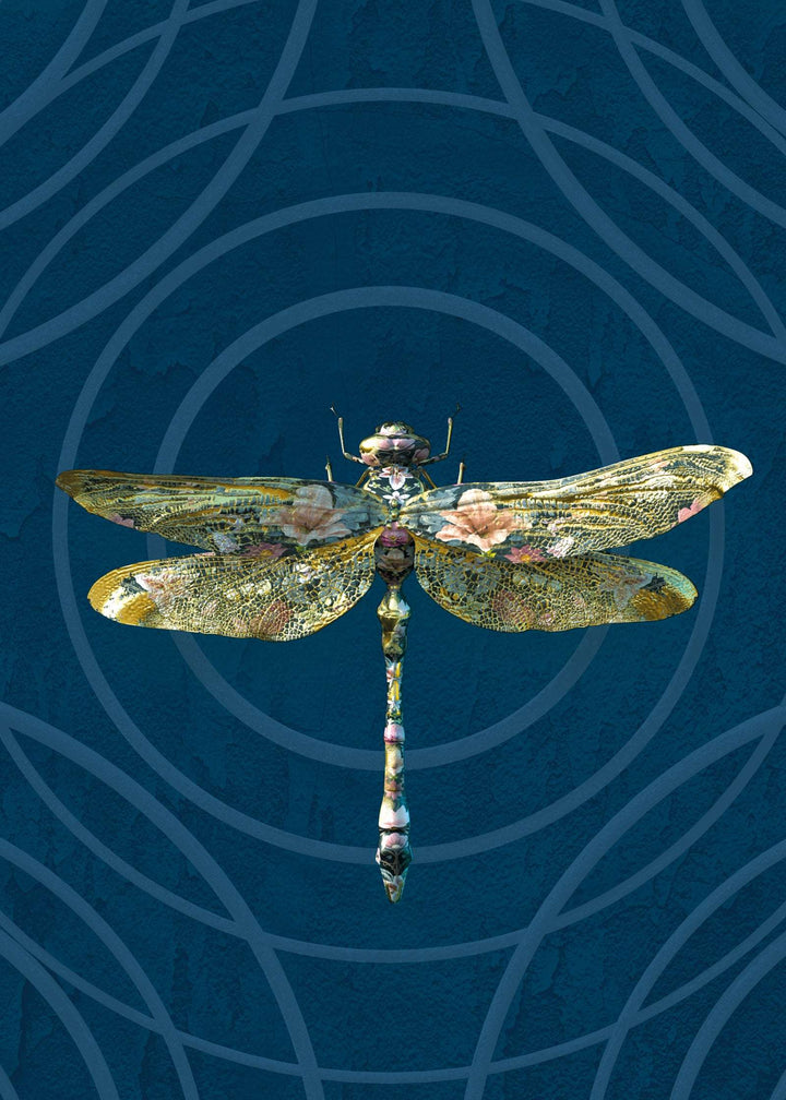 Dragonfly wallpaper