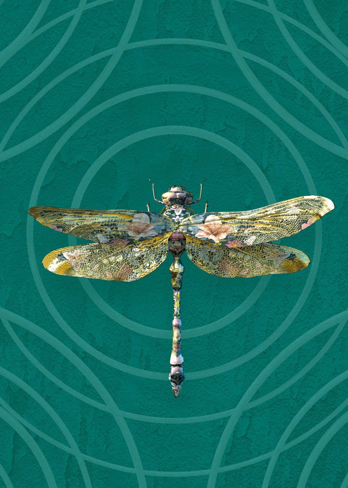 Insects Noir - Anisoptera Botanicus