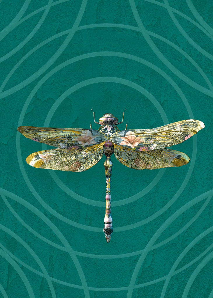 wallpaper dragonfly