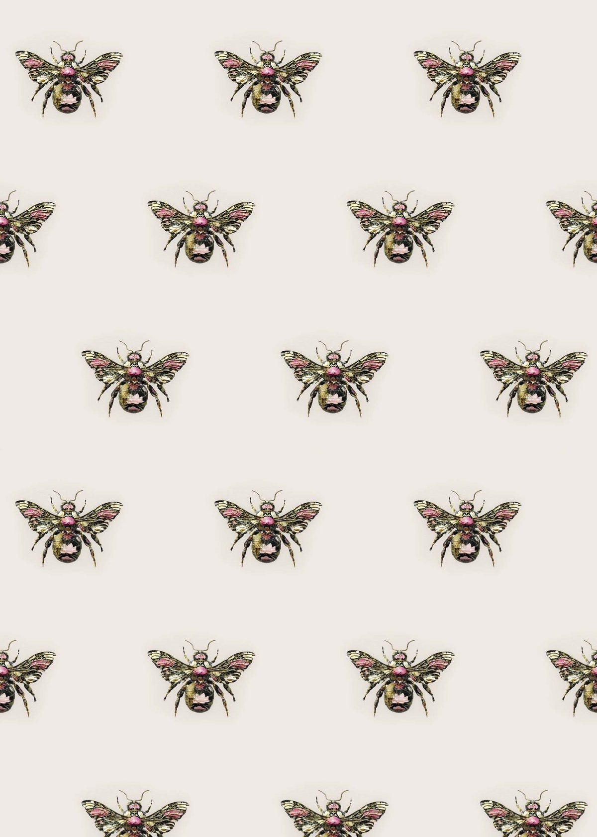 Bee Wallpaper : Insects Noir - Bombus
