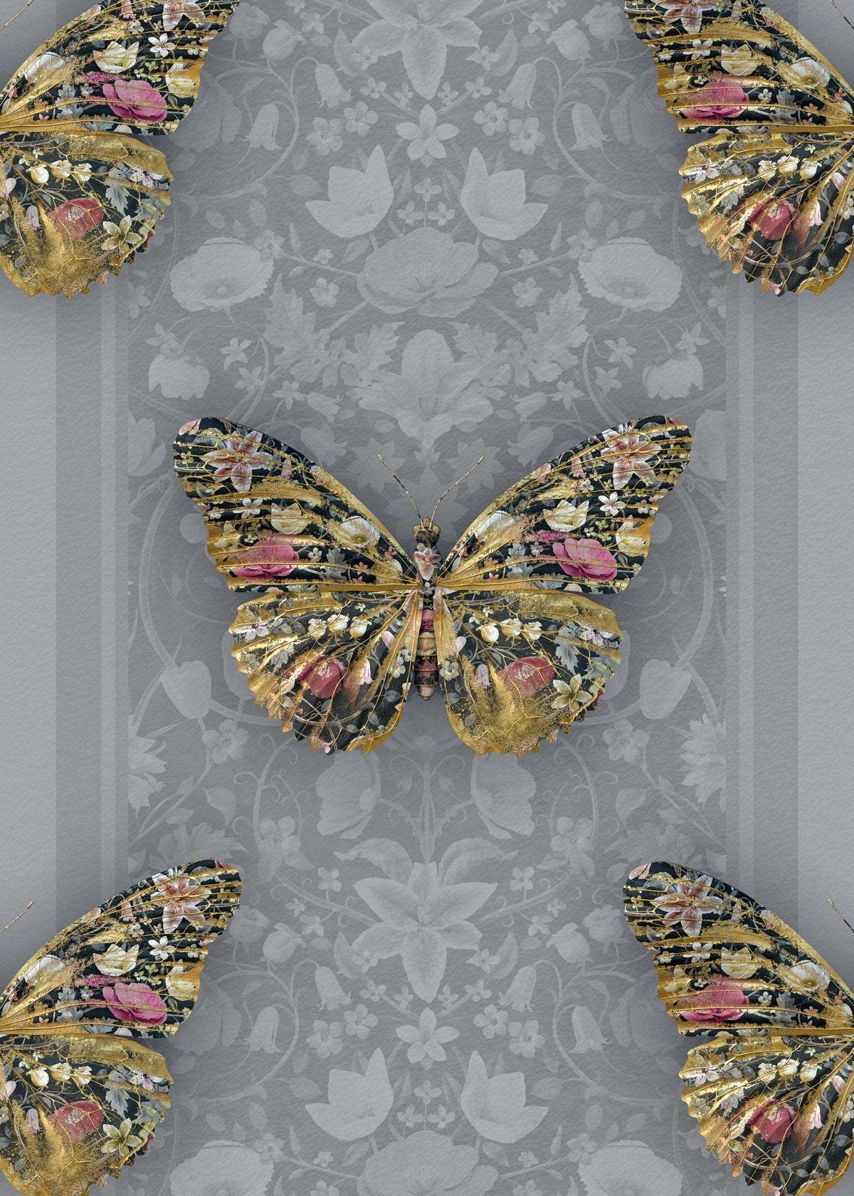 Butterfly Wallpapers - Insects Noir - Papilio Botanicus