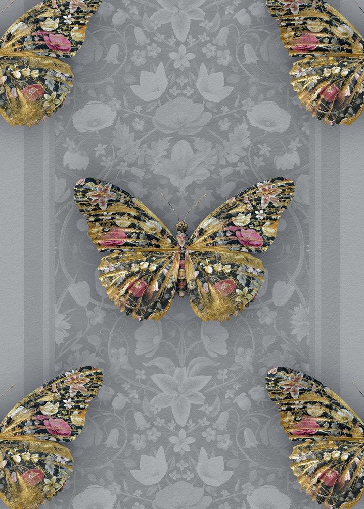 Papilio in Grey