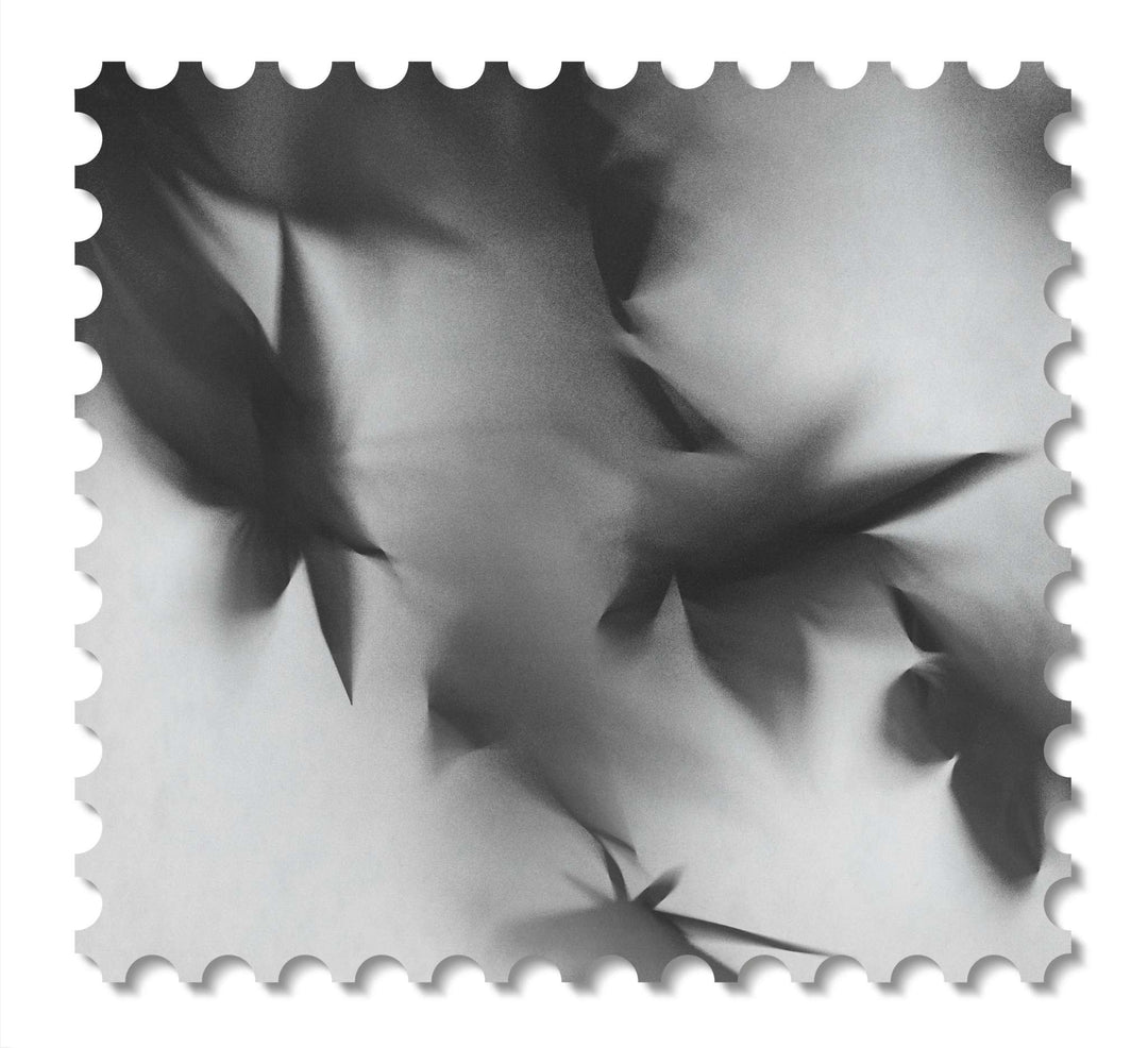 Zen  Swatch B/W