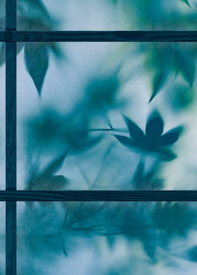 Calming and beautiful wallpaper : Zen