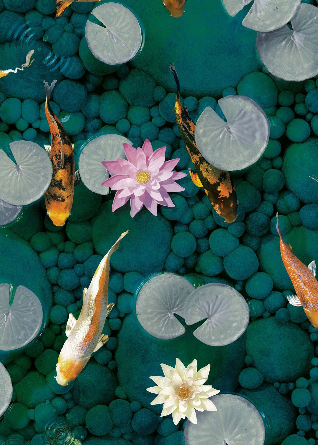 Koi Carp Fish Wallpaper : Emerald