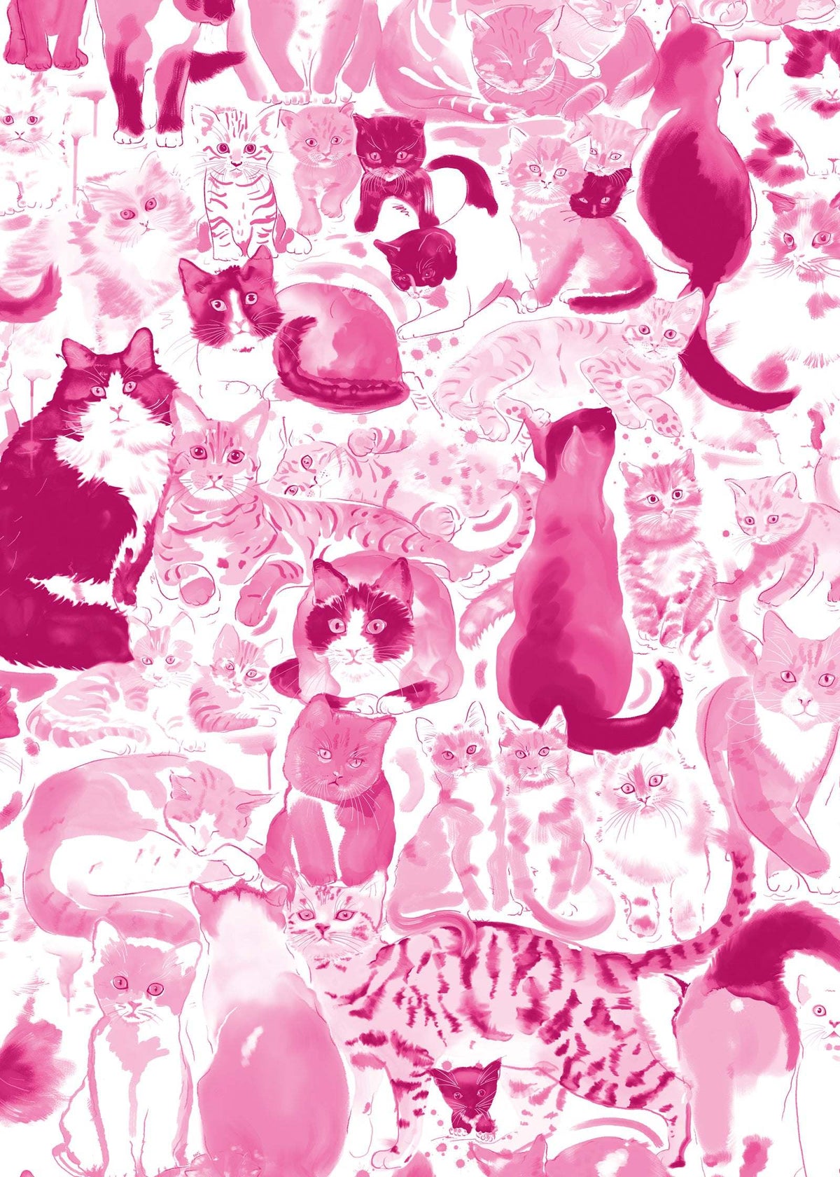 Cat Wallpaper : Feline Groovy