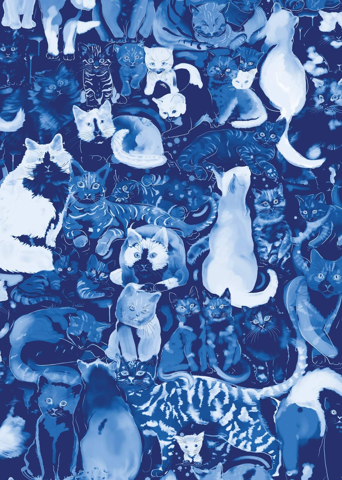 Cat Wallpaper : Feline Groovy