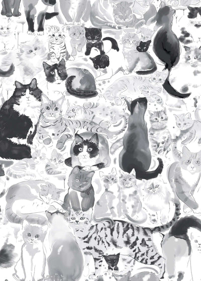 Cat Wallpaper