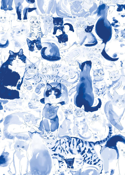 Cat Wallpaper :  Blue