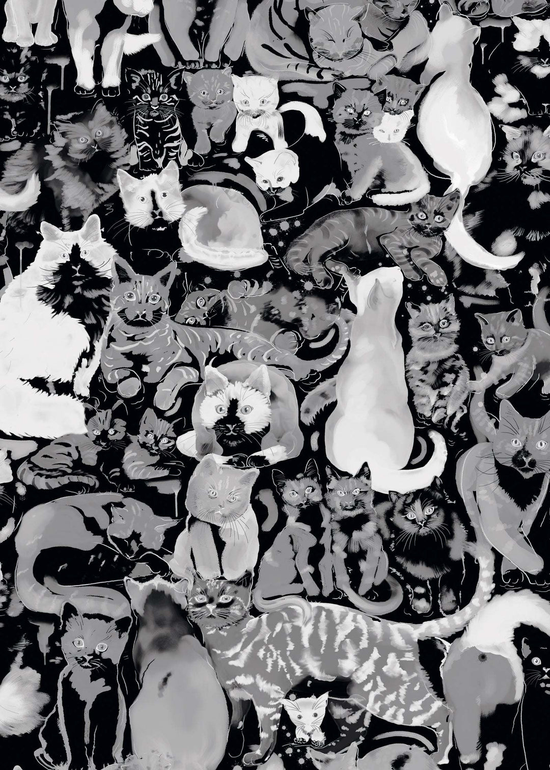 Cat Wallpaper