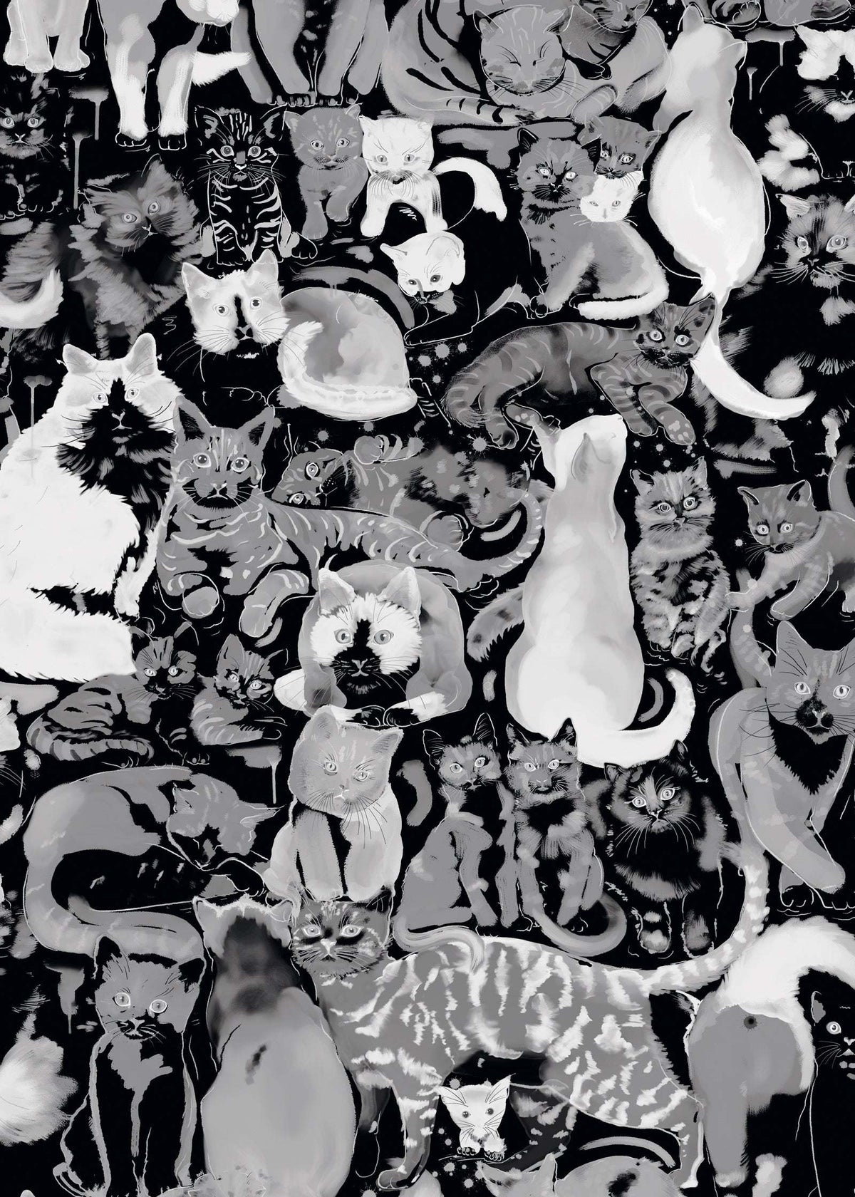 Cat Wallpaper : Feline Groovy