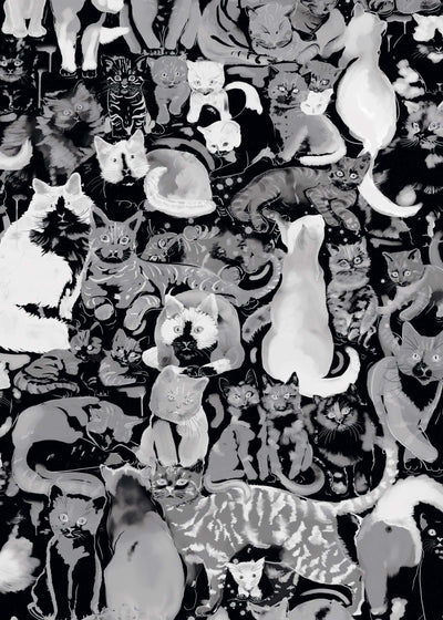 Cat Wallpaper