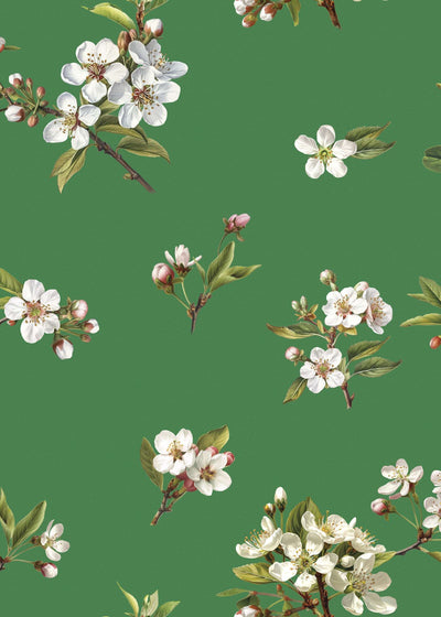 Freda Kahlo in Green colourway
