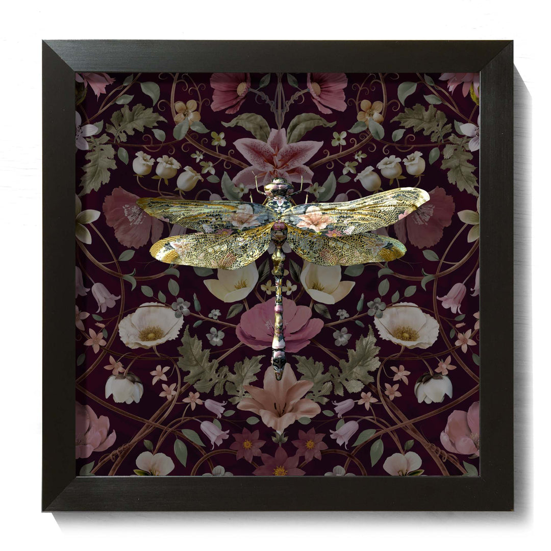 Anisoptera Botanicus in Cranberry