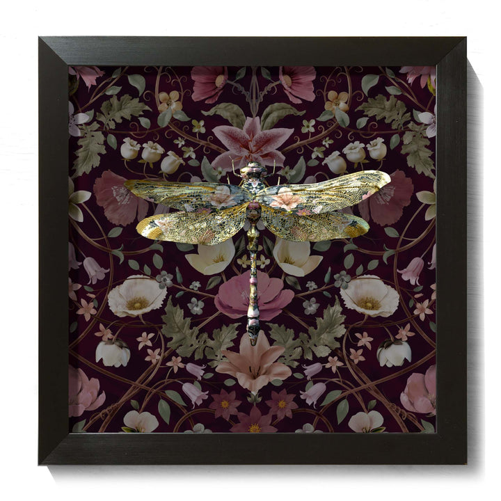 Anisoptera Botanicus in Cranberry