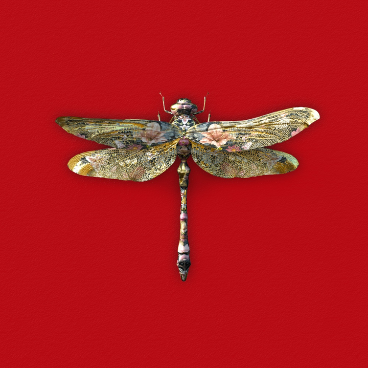 78cm Anisoptera Botanicus in Carmine