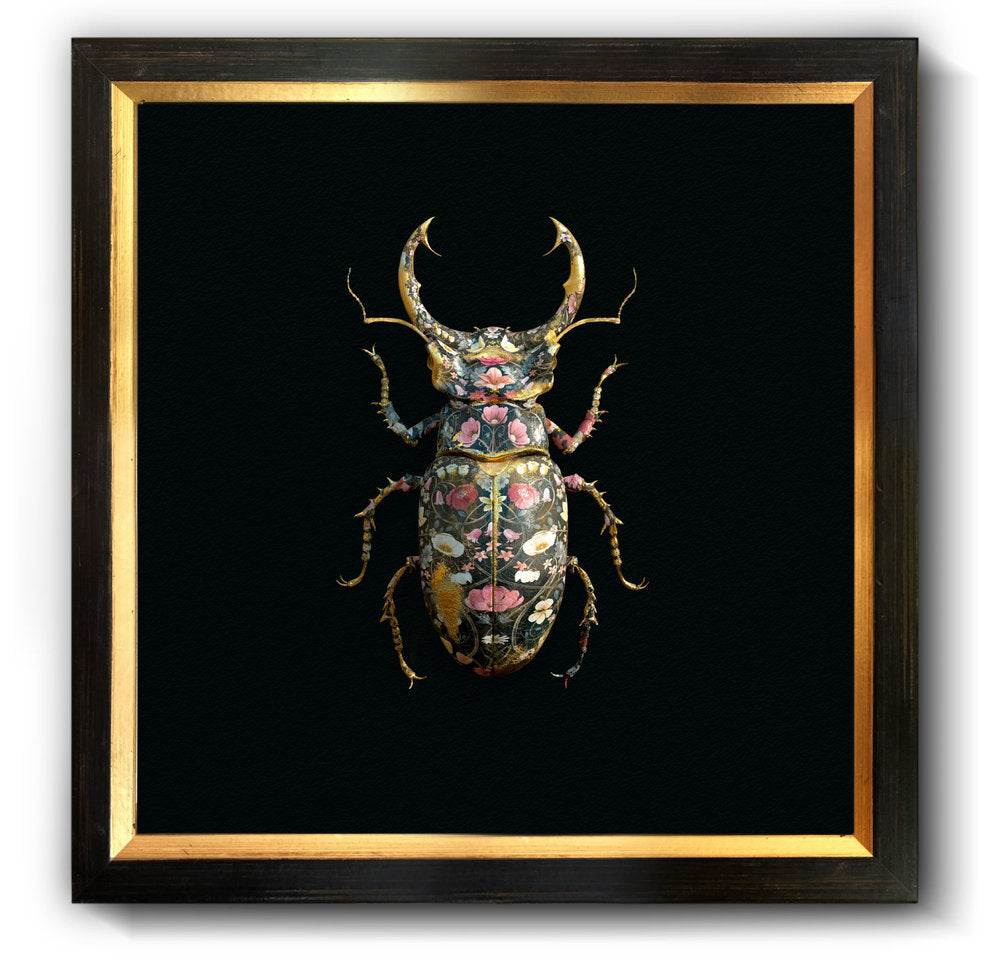 Lucanidae Botanicus Noir