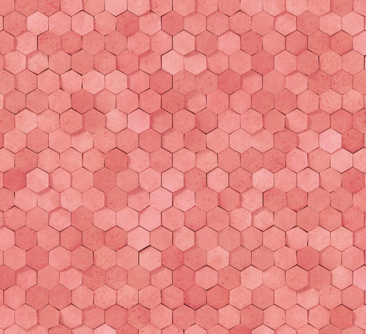 Hex : Terracotta